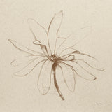 Modern Vintage Floral I by Avery Tillmon. SKU 72762a. Archival Giclee Fine art print for wall decor.