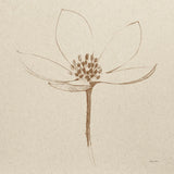 Modern Vintage Floral IV by Avery Tillmon. SKU 74082a. Archival Giclee Fine art print for wall decor.