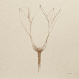 Modern Vintage Floral V by Avery Tillmon. SKU 74083a. Archival Giclee Fine art print for wall decor.