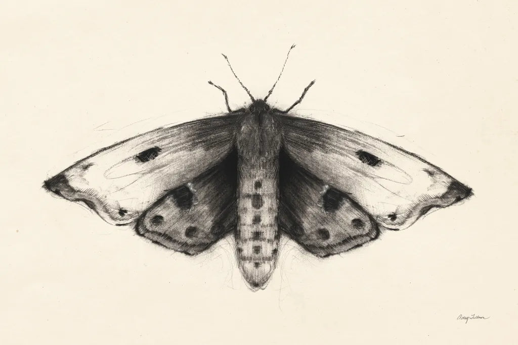 Moth I by Avery Tillmon. SKU 76814i. Archival Giclee Fine art print for wall decor.
