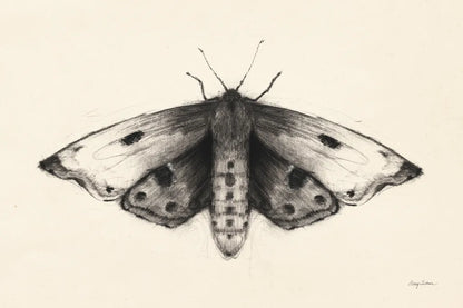 Moth I by Avery Tillmon. SKU 76814i. Archival Giclee Fine art print for wall decor.