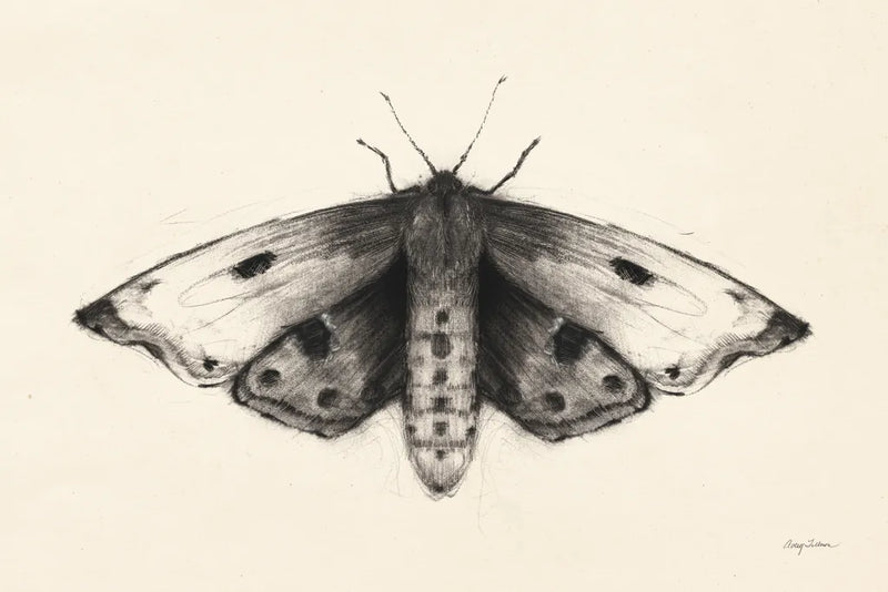 Moth I by Avery Tillmon. SKU 76814i. Archival Giclee Fine art print for wall decor.