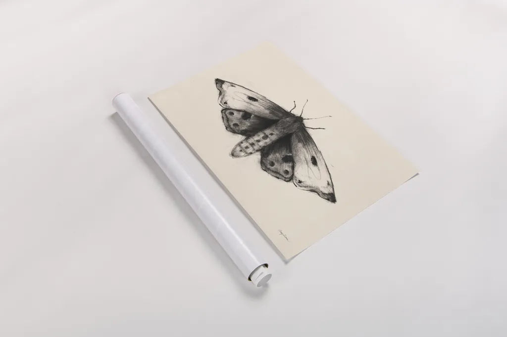 Moth I by Avery Tillmon. shown as a rolled paper print. Available as archival giclee rolled canvas, fine art paper, or poster print. SKU 76814i.