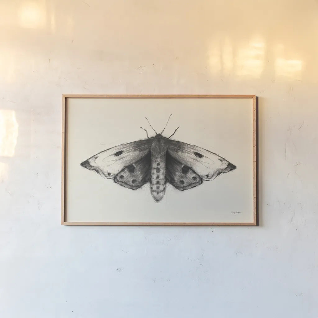 Moth I by Avery Tillmon. shown as a paper print in a natural frame. Available as a archival giclee rolled canvas, fine art paper, or poster print. SKU 76814i.