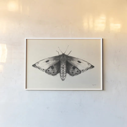 Moth I by Avery Tillmon. shown as a paper print in a white frame. Available as a archival giclee rolled canvas, fine art paper, or poster print. SKU 76814i.