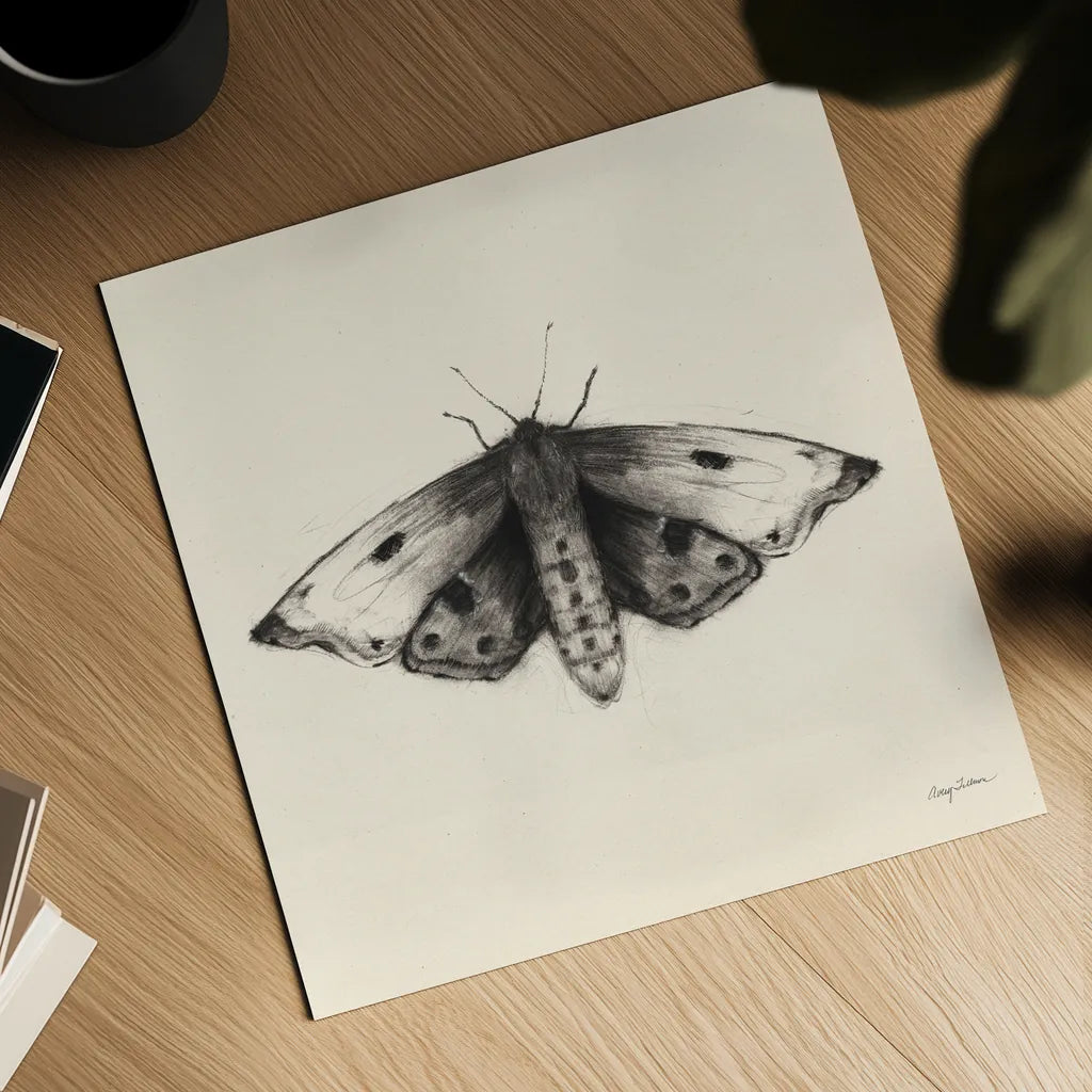 Moth I Sq by Avery Tillmon. Shown as a detailed flat fine art print, highlighting archival giclee quality. Available as an archival giclee rolled canvas, fine art paper, or poster print. SKU 85902a.