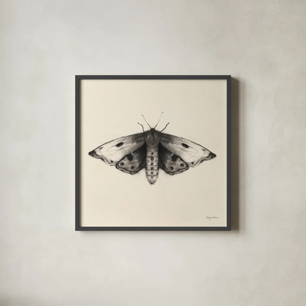 Moth I Sq by Avery Tillmon. Shown in a sleek black glass frame for a contemporary gallery look. Available as an archival giclee rolled canvas, fine art paper, or poster print. SKU 85902a.