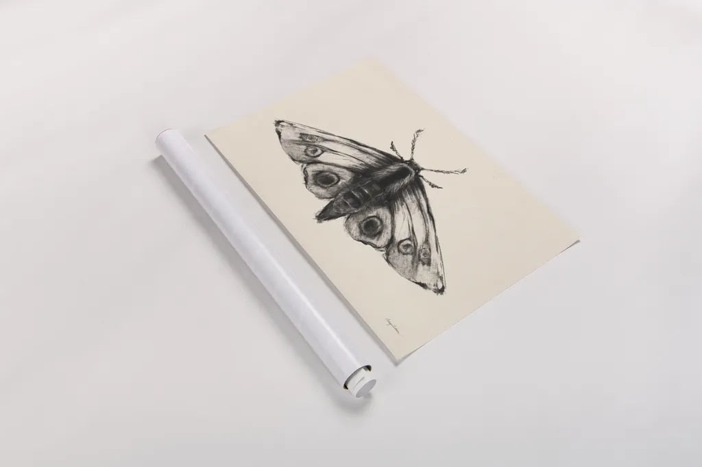 Moth II by Avery Tillmon. shown as a rolled paper print. Available as archival giclee rolled canvas, fine art paper, or poster print. SKU 76815i.