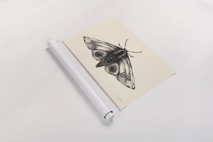 Moth II by Avery Tillmon. shown as a rolled paper print. Available as archival giclee rolled canvas, fine art paper, or poster print. SKU 76815i.