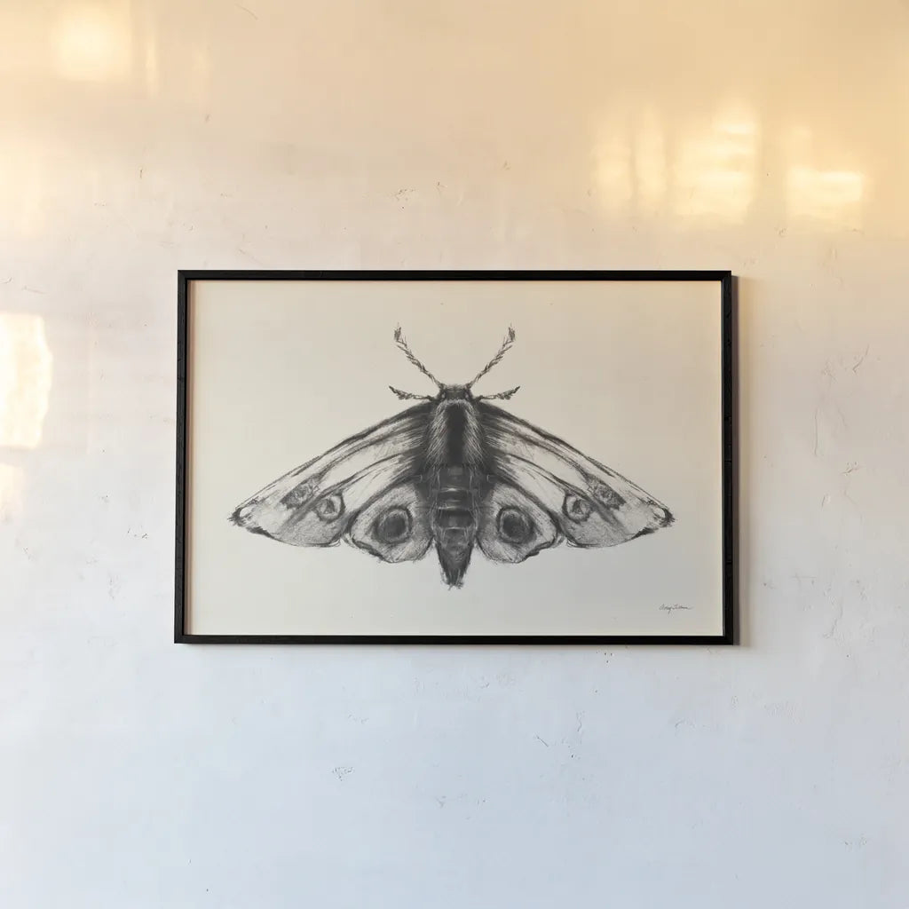 Moth II by Avery Tillmon. shown as a paper print in a black flame. Available as a archival giclee rolled canvas, fine art paper, or poster print. SKU 76815i.