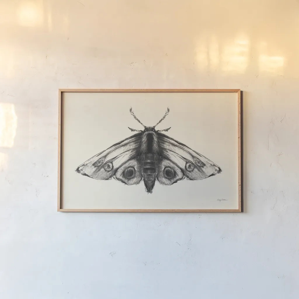 Moth II by Avery Tillmon. shown as a paper print in a natural frame. Available as a archival giclee rolled canvas, fine art paper, or poster print. SKU 76815i.