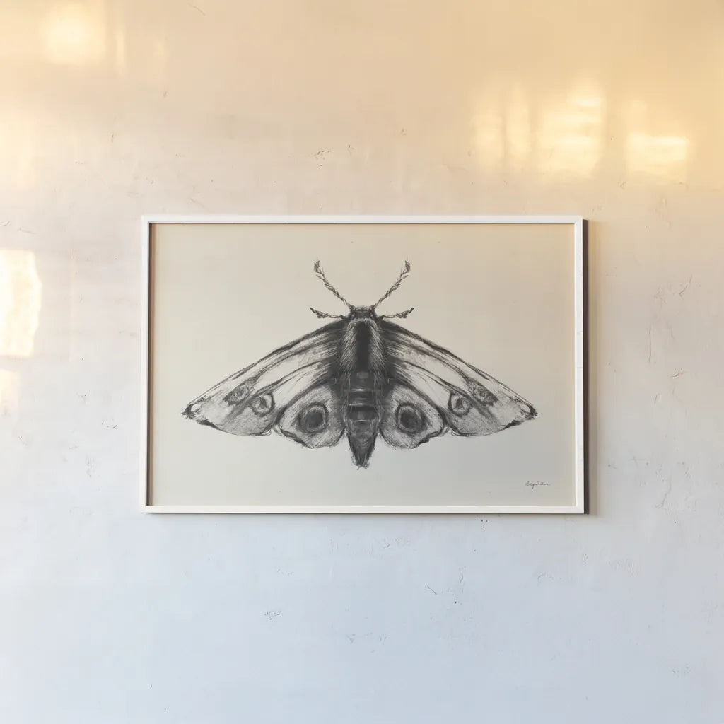 Moth II by Avery Tillmon. shown as a paper print in a white frame. Available as a archival giclee rolled canvas, fine art paper, or poster print. SKU 76815i.