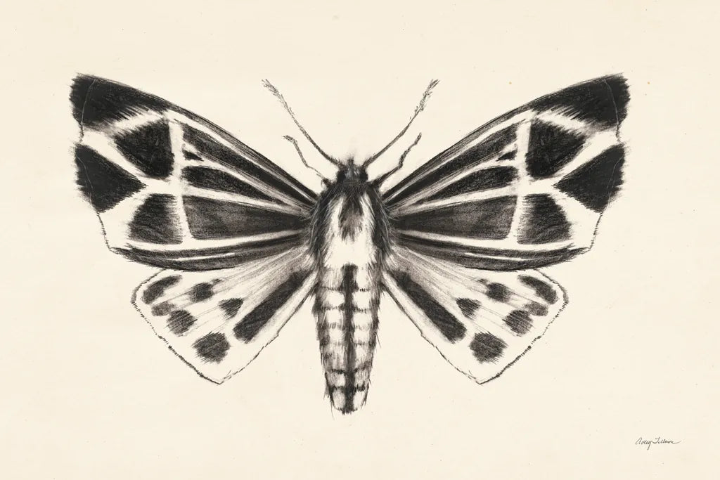 Moth III by Avery Tillmon. SKU 76816i. Archival Giclee Fine art print for wall decor.