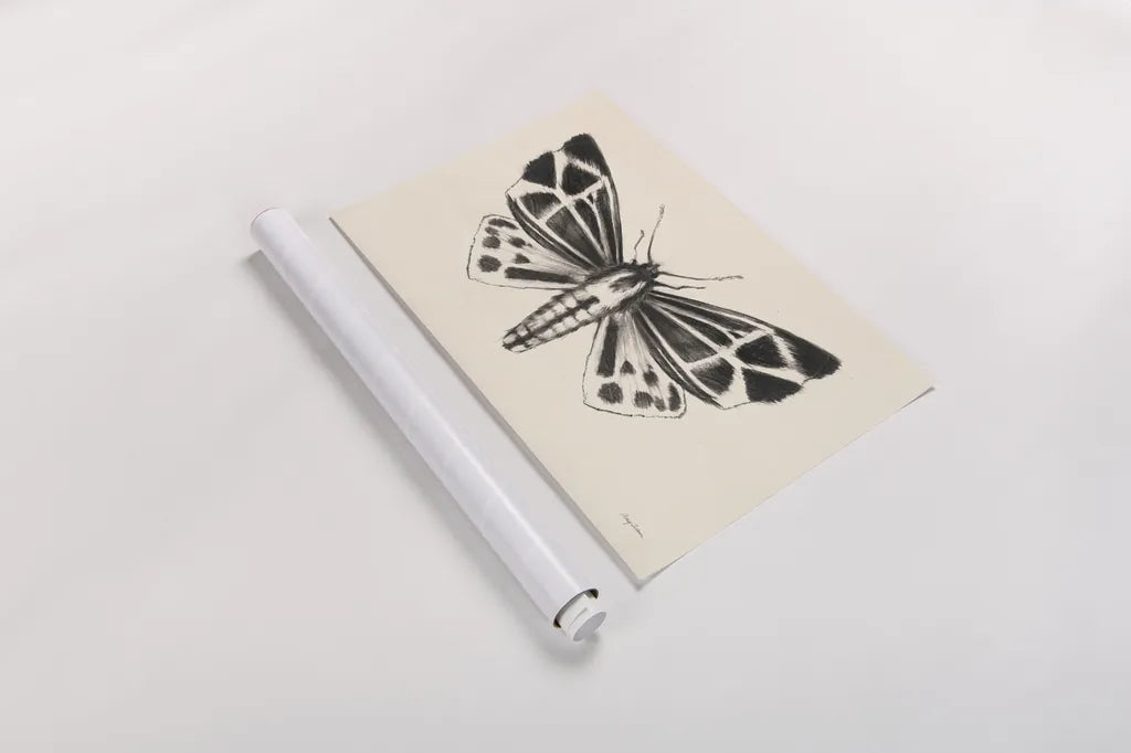 Moth III by Avery Tillmon. shown as a rolled paper print. Available as archival giclee rolled canvas, fine art paper, or poster print. SKU 76816i.