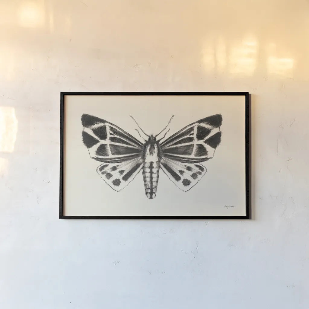 Moth III by Avery Tillmon. shown as a paper print in a black flame. Available as a archival giclee rolled canvas, fine art paper, or poster print. SKU 76816i.