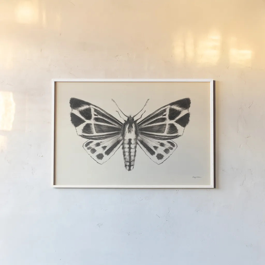 Moth III by Avery Tillmon. shown as a paper print in a white frame. Available as a archival giclee rolled canvas, fine art paper, or poster print. SKU 76816i.
