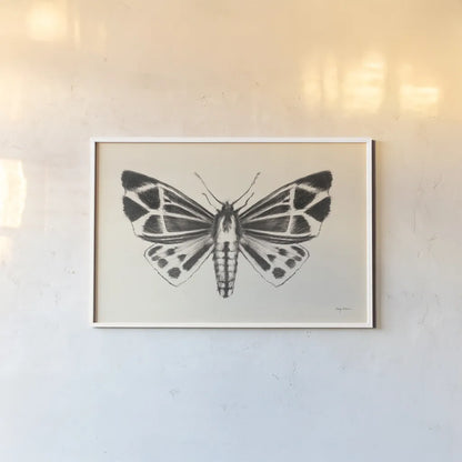 Moth III by Avery Tillmon. shown as a paper print in a white frame. Available as a archival giclee rolled canvas, fine art paper, or poster print. SKU 76816i.