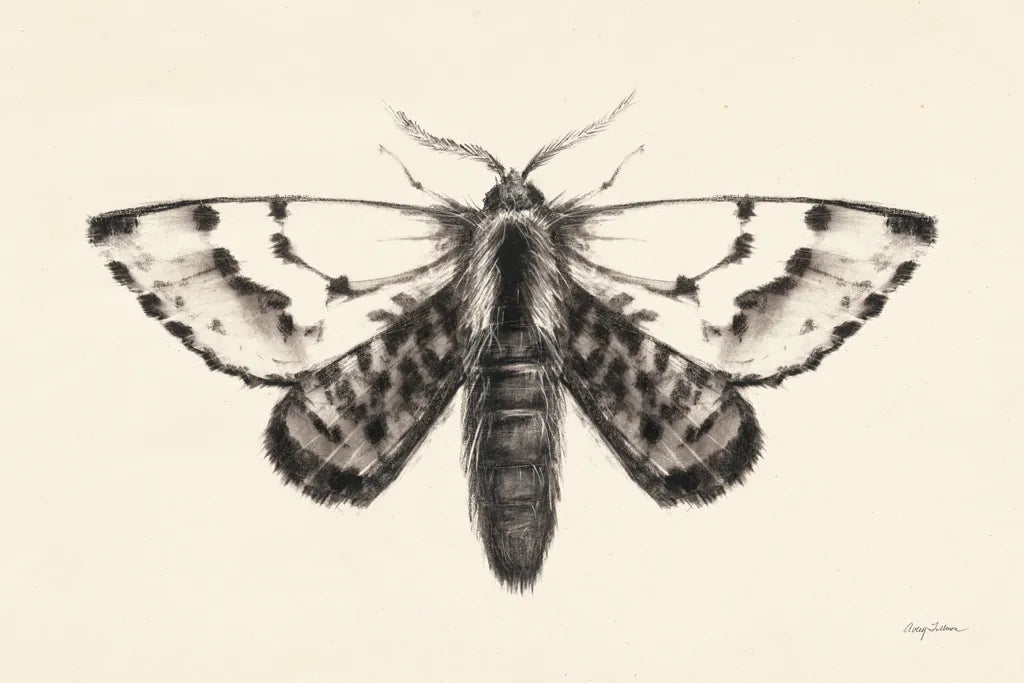 Moth IV by Avery Tillmon. SKU 76817i. Archival Giclee Fine art print for wall decor.
