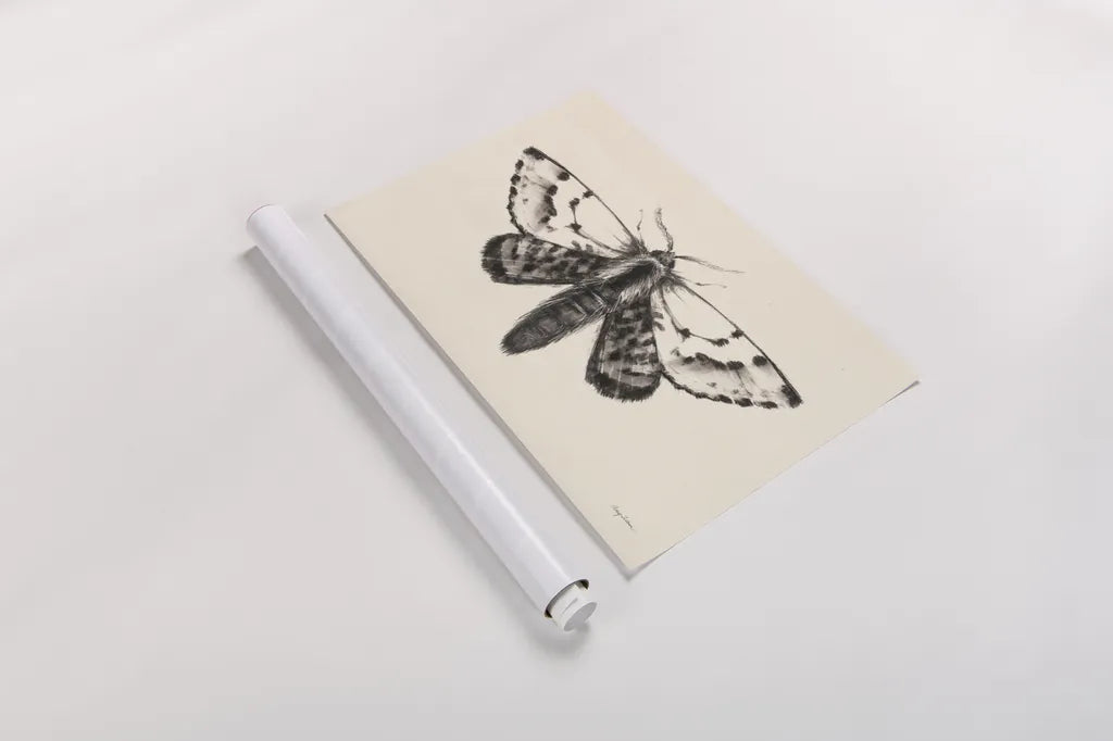Moth IV by Avery Tillmon. shown as a rolled paper print. Available as archival giclee rolled canvas, fine art paper, or poster print. SKU 76817i.