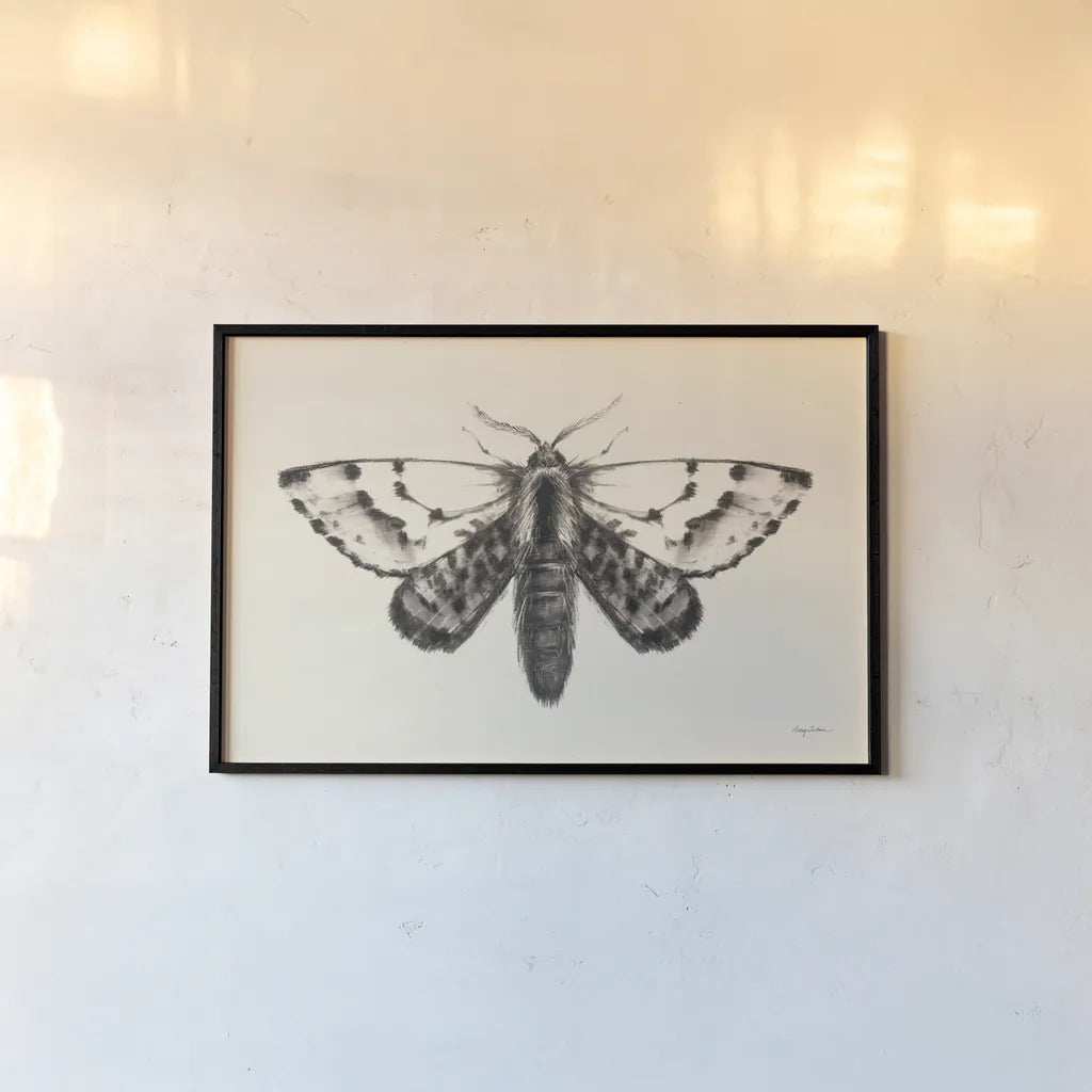 Moth IV by Avery Tillmon. shown as a paper print in a black flame. Available as a archival giclee rolled canvas, fine art paper, or poster print. SKU 76817i.