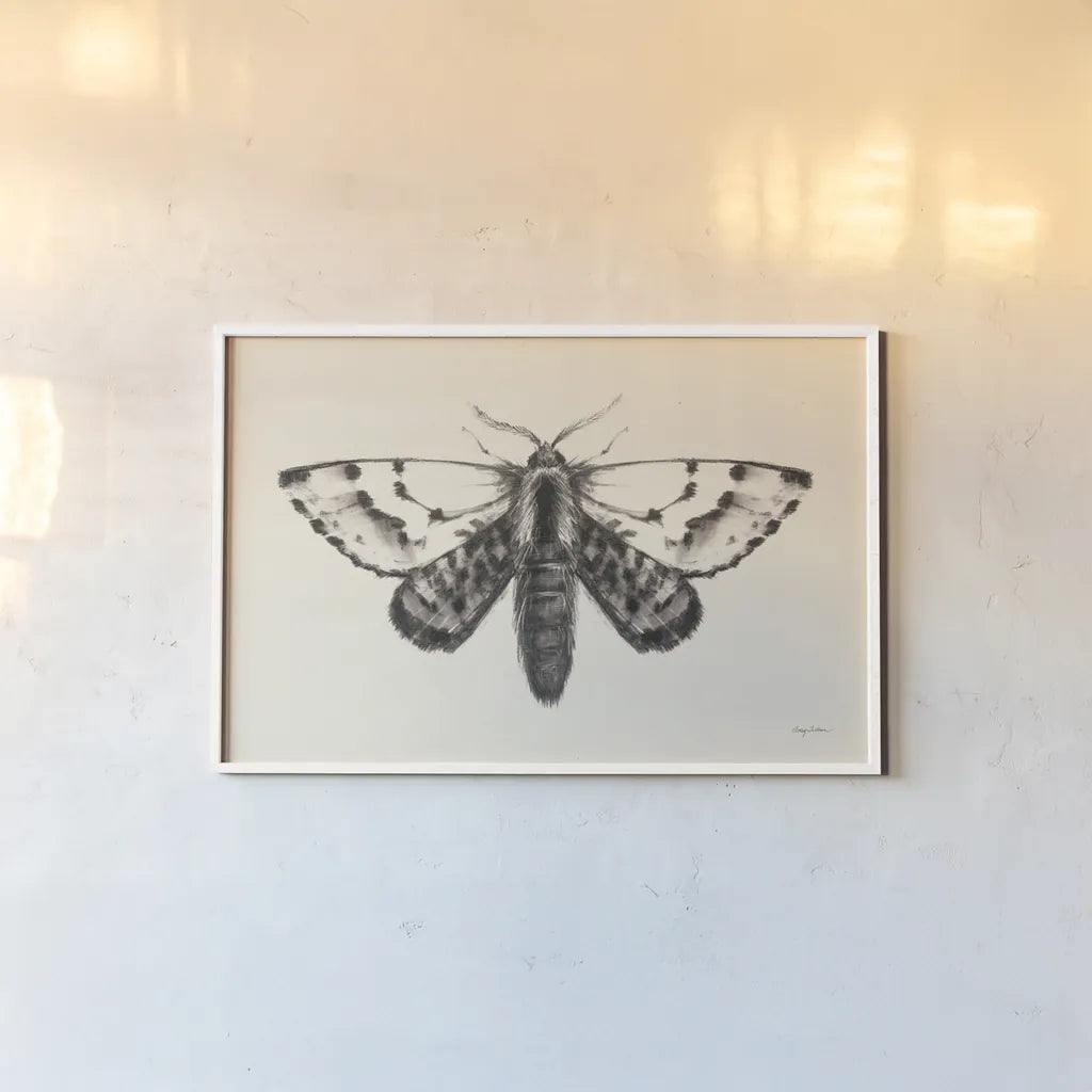 Moth IV by Avery Tillmon. shown as a paper print in a white frame. Available as a archival giclee rolled canvas, fine art paper, or poster print. SKU 76817i.