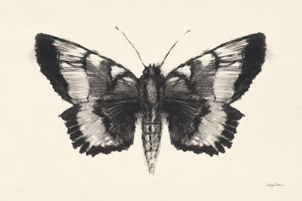 Moth V by Avery Tillmon. SKU 76818i. Archival Giclee Fine art print for wall decor.