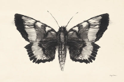 Moth V by Avery Tillmon. SKU 76818i. Archival Giclee Fine art print for wall decor.