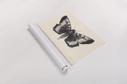 Moth V by Avery Tillmon. shown as a rolled paper print. Available as archival giclee rolled canvas, fine art paper, or poster print. SKU 76818i.