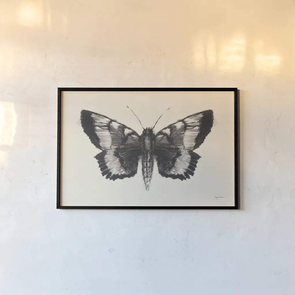 Moth V by Avery Tillmon. shown as a paper print in a black flame. Available as a archival giclee rolled canvas, fine art paper, or poster print. SKU 76818i.