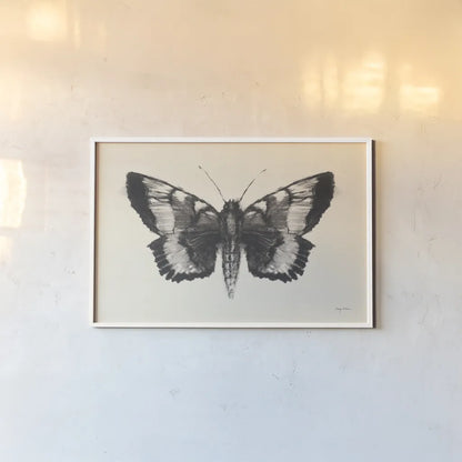 Moth V by Avery Tillmon. shown as a paper print in a white frame. Available as a archival giclee rolled canvas, fine art paper, or poster print. SKU 76818i.