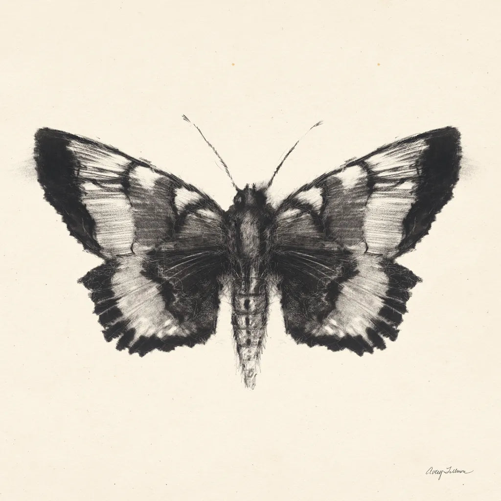 Moth V Sq by Avery Tillmon. SKU 85903a. Archival Giclee Fine art print for wall decor.