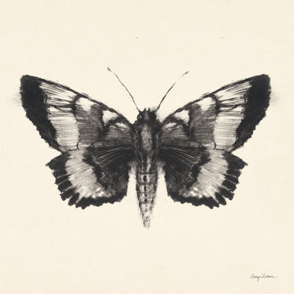 Moth V Sq by Avery Tillmon. SKU 85903a. Archival Giclee Fine art print for wall decor.