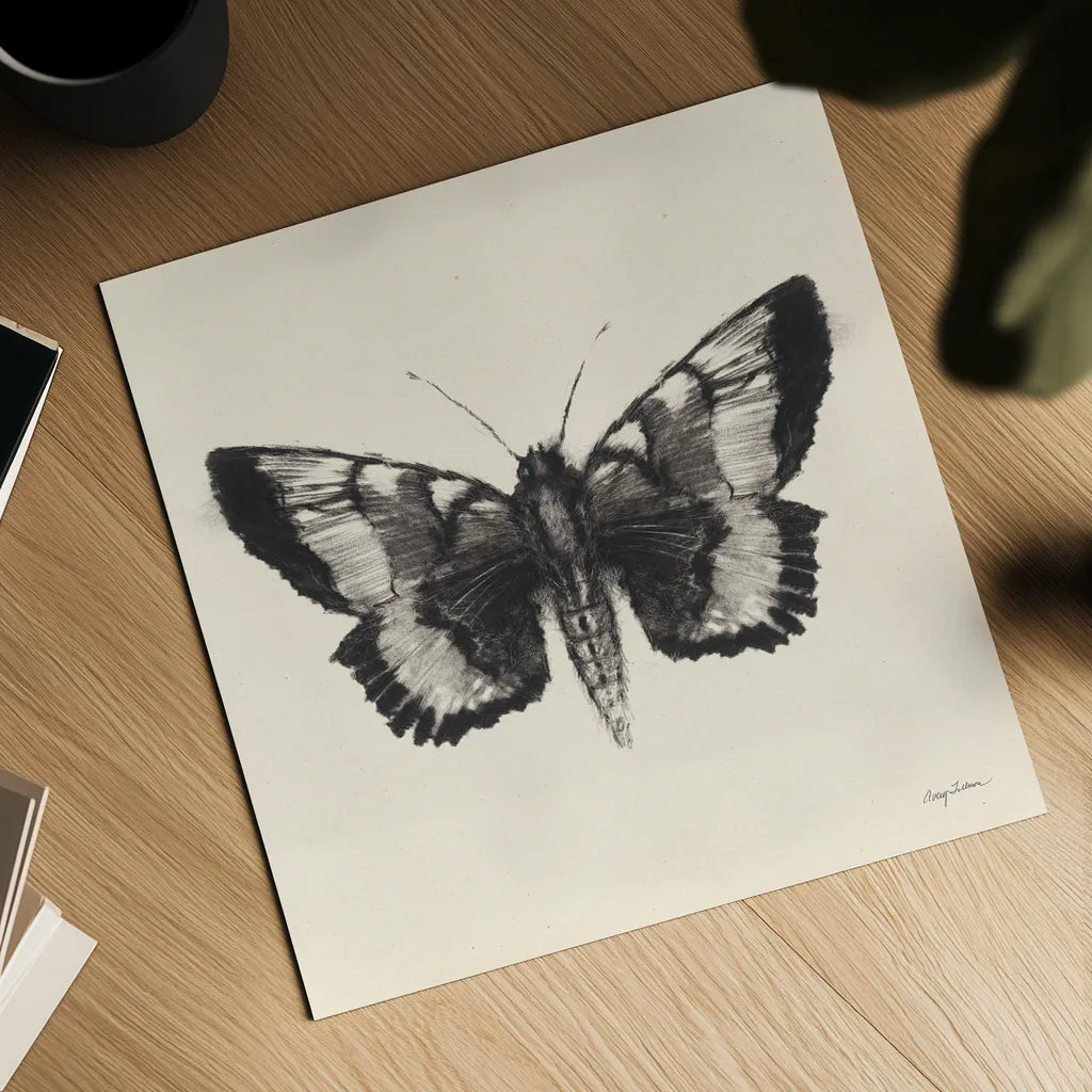 Moth V Sq by Avery Tillmon. Shown as a detailed flat fine art print, highlighting archival giclee quality. Available as an archival giclee rolled canvas, fine art paper, or poster print. SKU 85903a.