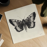 Moth V Sq by Avery Tillmon. Shown as a detailed flat fine art print, highlighting archival giclee quality. Available as an archival giclee rolled canvas, fine art paper, or poster print. SKU 85903a.