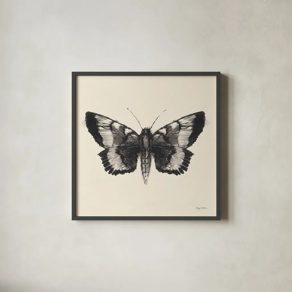 Moth V Sq by Avery Tillmon. Shown in a sleek black glass frame for a contemporary gallery look. Available as an archival giclee rolled canvas, fine art paper, or poster print. SKU 85903a.