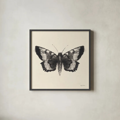 Moth V Sq by Avery Tillmon. Shown in a sleek black glass frame for a contemporary gallery look. Available as an archival giclee rolled canvas, fine art paper, or poster print. SKU 85903a.