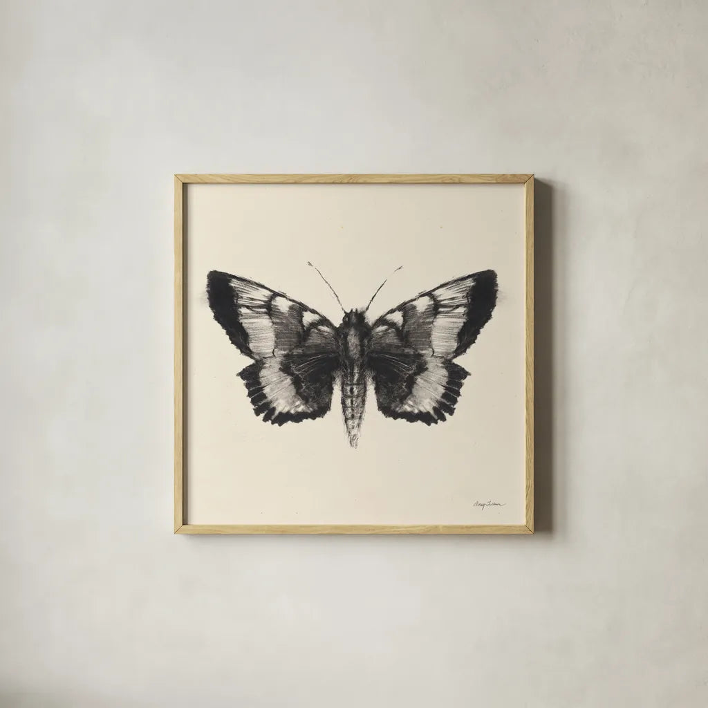Moth V Sq by Avery Tillmon. Shown in a natural wood glass frame for a timeless modern aesthetic. Available as an archival giclee rolled canvas, fine art paper, or poster print. SKU 85903a.