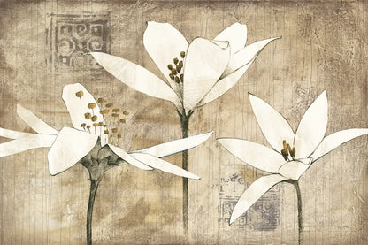 Pencil Floral III by Avery Tillmon. SKU 10289i. Archival Giclee Fine art print for wall decor.