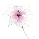 Pink Graphite Flower V by Avery Tillmon. SKU 29756a. Archival Giclee Fine art print for wall decor.