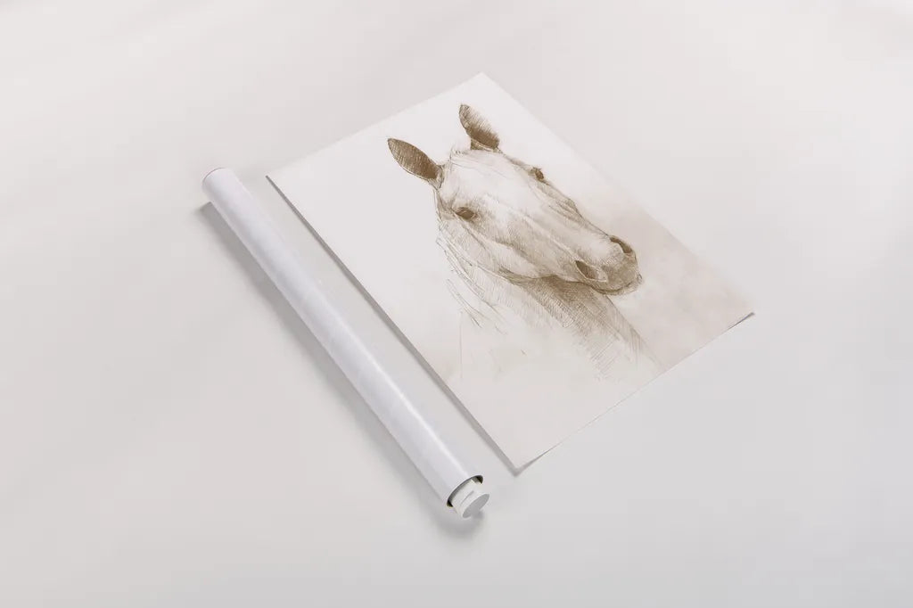 Romeo  Sepia by Avery Tillmon. shown as a rolled paper print. Available as archival giclee rolled canvas, fine art paper, or poster print. SKU 76924h.