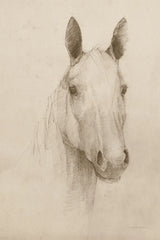 Romeo on Aged Paper by Avery Tillmon. SKU 96286h. Archival Giclee Fine art print for wall decor.