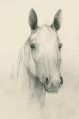 Romeo on Cream by Avery Tillmon. SKU 72835h. Archival Giclee Fine art print for wall decor.
