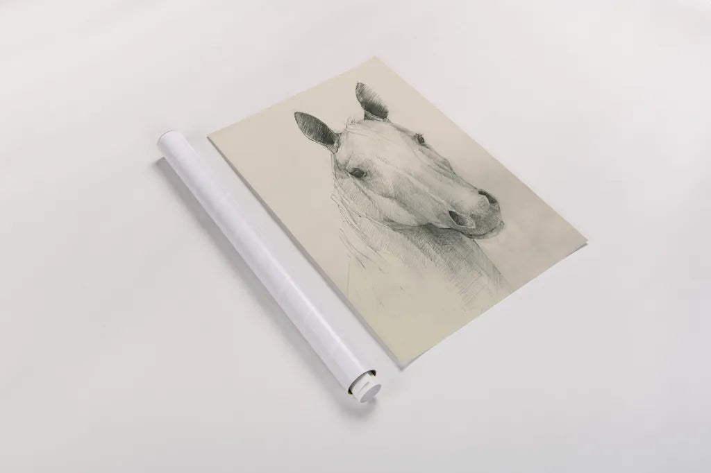 Romeo on Cream by Avery Tillmon. shown as a rolled paper print. Available as archival giclee rolled canvas, fine art paper, or poster print. SKU 72835h.
