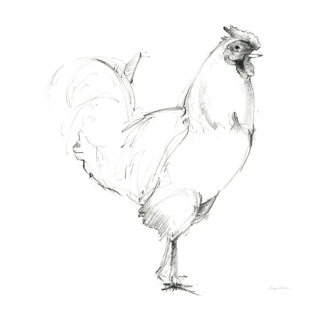 Rooster II Dark Square by Avery Tillmon. SKU 36140a. Archival Giclee Fine art print for wall decor.
