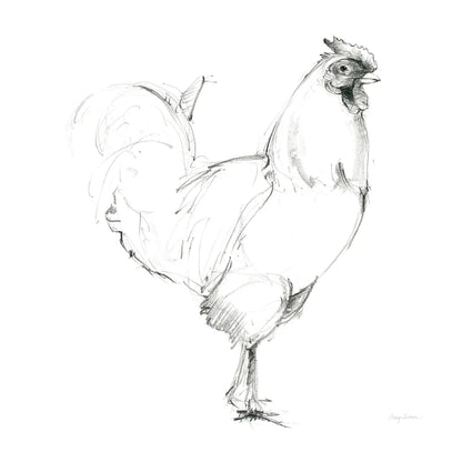 Rooster II Dark Square by Avery Tillmon. SKU 36140a. Archival Giclee Fine art print for wall decor.