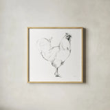 Rooster II Dark Square by Avery Tillmon. Shown in a natural wood glass frame for a timeless modern aesthetic. Available as an archival giclee rolled canvas, fine art paper, or poster print. SKU 36140a.