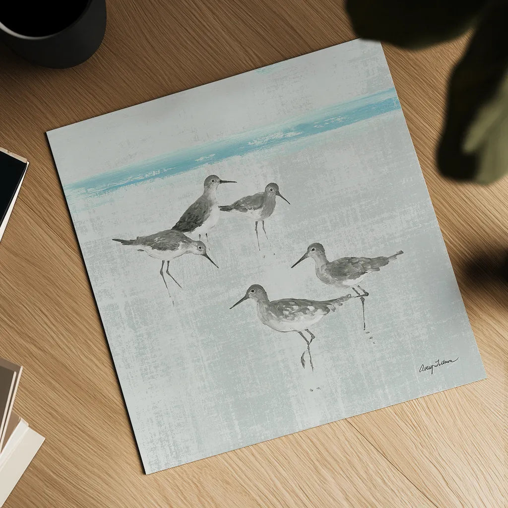 Sandpipers Square I Gray by Avery Tillmon. Shown as a detailed flat fine art print, highlighting archival giclee quality. Available as an archival giclee rolled canvas, fine art paper, or poster print. SKU 22654a.