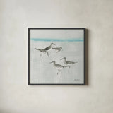 Sandpipers Square I Gray by Avery Tillmon. Shown in a sleek black glass frame for a contemporary gallery look. Available as an archival giclee rolled canvas, fine art paper, or poster print. SKU 22654a.