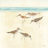 Sandpipers Square II by Avery Tillmon. SKU 15107a. Archival Giclee Fine art print for wall decor.