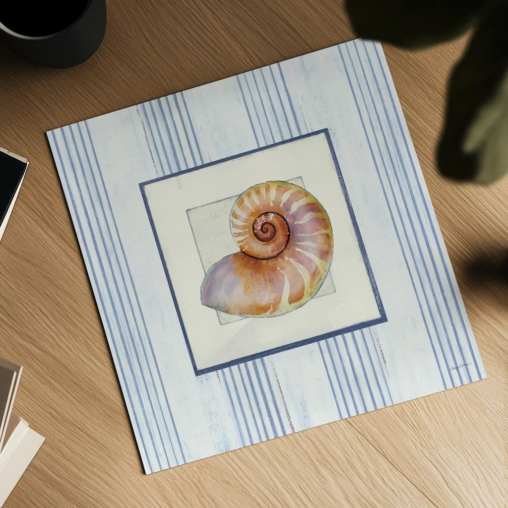 Sanibel Shell III by Avery Tillmon. Shown as a detailed flat fine art print, highlighting archival giclee quality. Available as an archival giclee rolled canvas, fine art paper, or poster print. SKU 8914a.